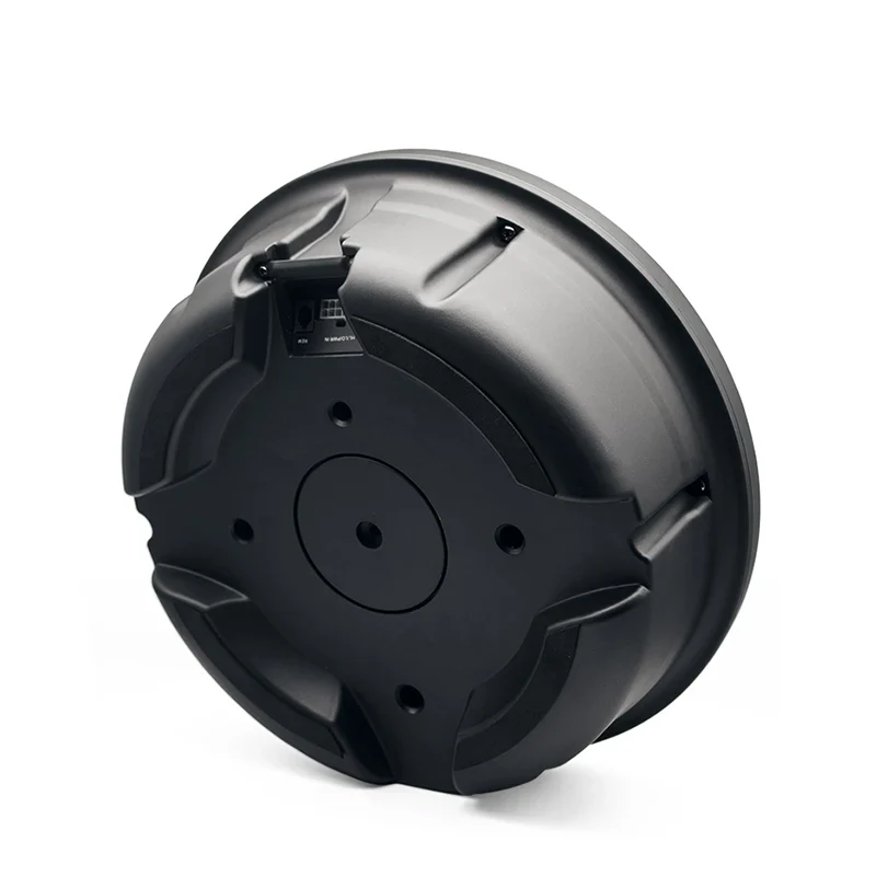 10 Inch Active Spare Tire Subwoofer